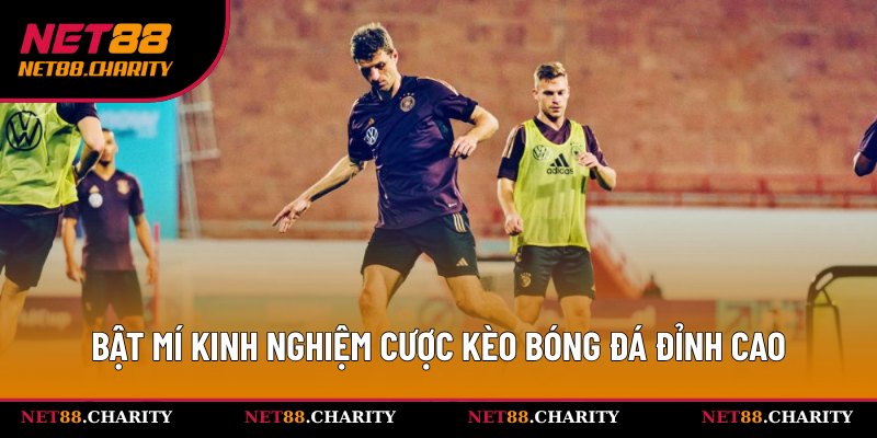 Bật mí bí kíp soi kèo bóng đá hiệu quả