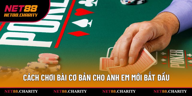 Hướng dẫn cách chơi bài độc đáo và thú vị