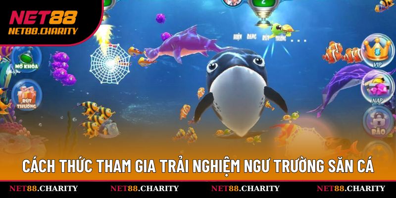 Cách thức tham gia trải nghiệm ngư trường săn cá