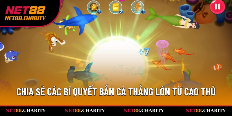 Bật mí tuyệt chiêu săn cá online từ cao thủ