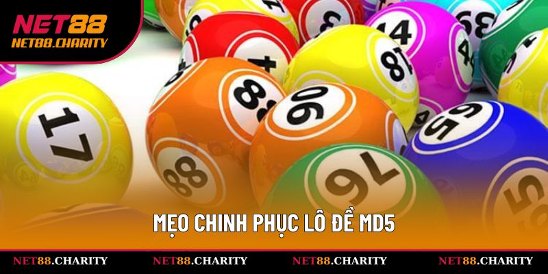 Nắm vững mẹo chơi cược số để rinh thưởng to 